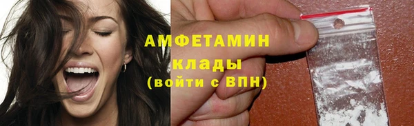 мдпв Горнозаводск