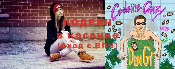 мдпв Горнозаводск