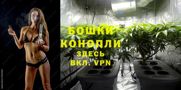 дурь Кулебаки