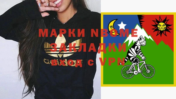 мдпв Горнозаводск