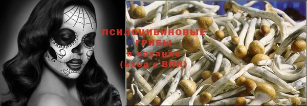 мдпв Горнозаводск